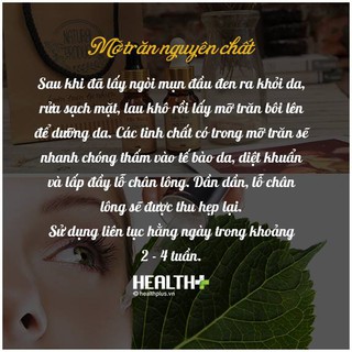 Mỡ Trăn Nguyên Chất LILY BUI'S 100ml (chính hãng)