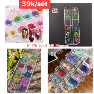 Hoa khô - hoa chùm trang trí móng tay - nail - sét 12ô