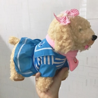 Chó biết đi biết hát