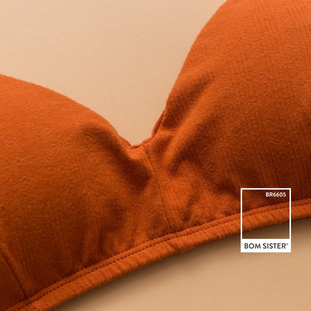 Áo Lót Nữ Mút Mỏng Dây Mảnh Không Gọng Có Kèm Mút Rời Nâng Ngực Tự Nhiên BOM SISTER BR6605 | BigBuy360 - bigbuy360.vn