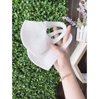 Khẩu trang vải không dệt 2 lớp - Hàng đẹp