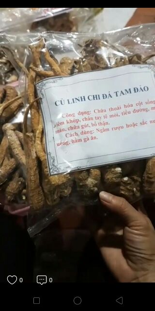 Củ linh chi đá Tam Đảo[1kg] củ Bạch Chỉ