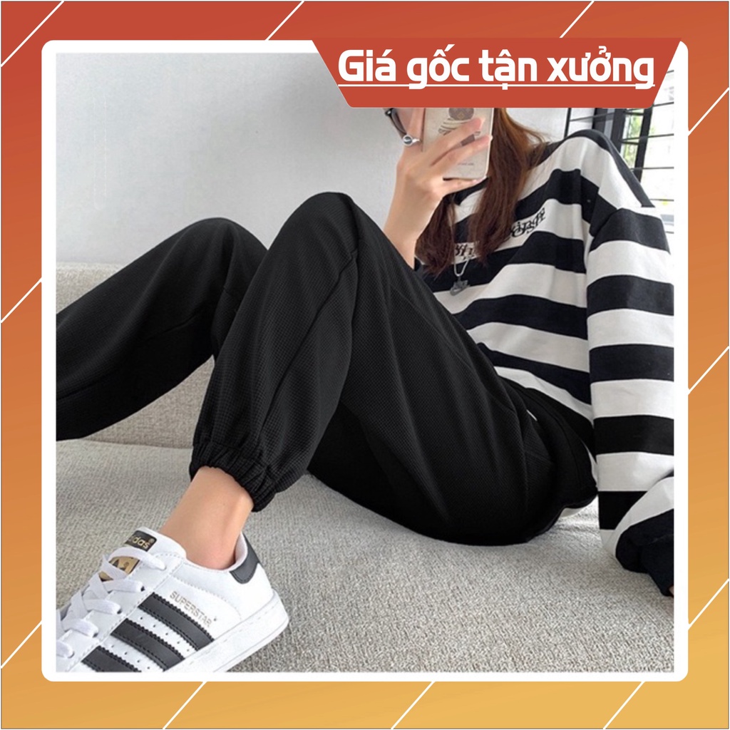 Quần thể thao Nam Nữ chất Nỉ Tổ Ong Bo Gấu Hàn Quốc Dáng Jogger Song Anh 3 màu Đen, Trắng, Xám