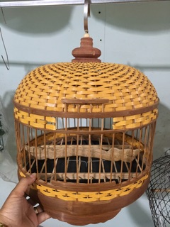 Lồng tròn dành cho cu gáy