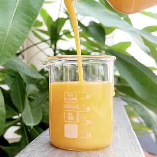 Combo 2 Dầu gội cam mật Handmade 500ml