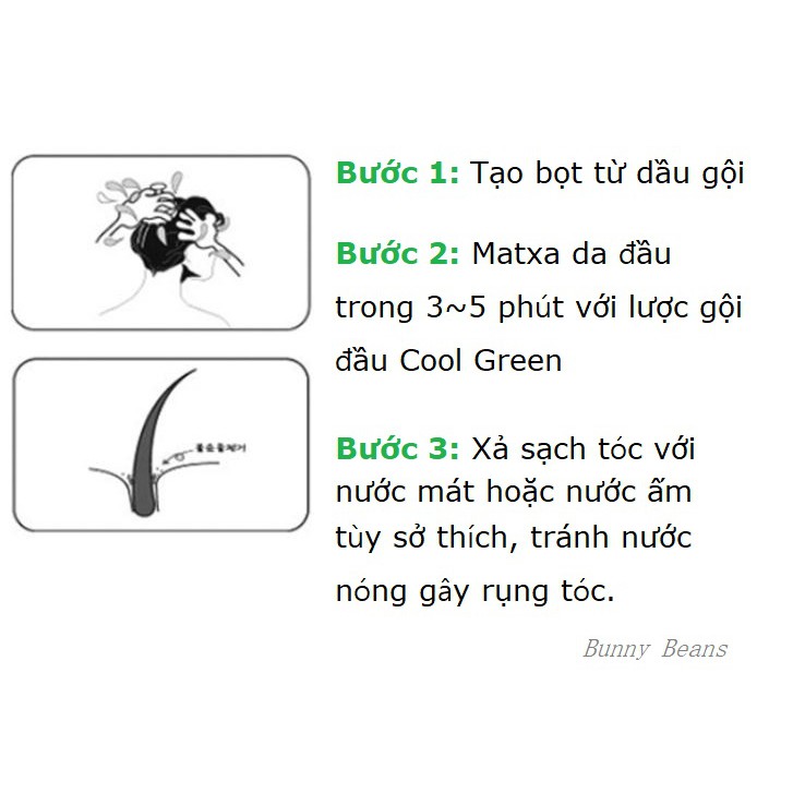 Lược gội đầu Cool Green matxa da đầu, trị gàu dưỡng tóc Shop Bunny Beans