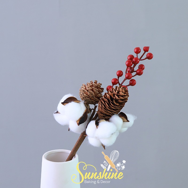 Cành Bông Gòn Khô Cotton Flower Trang Trí Chụp Ảnh - Thân Sắt - 5/7/10 Bông