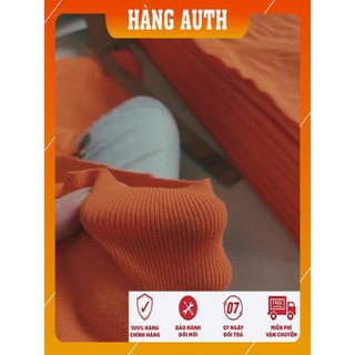 [Freeship - Hàng Cao Cấp] ÁO CROPTOP CỔ V