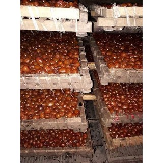Táo sấy rút hột loại 1 (1kg)