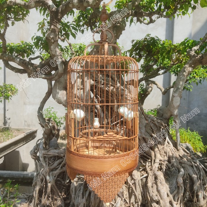Lồng Chim Khuyên Đục Chân Cao HÀNG KỸ Lồng Khuyên Trúc Già Siêu Đẹp Đường Kính 22 cm