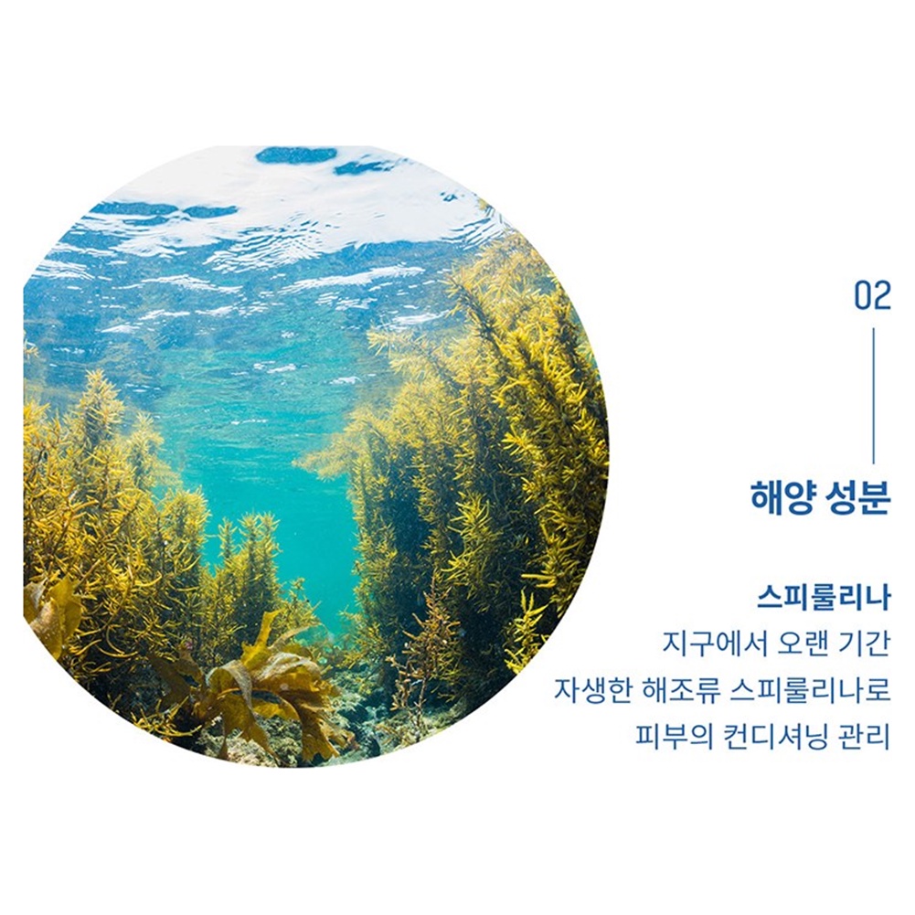 Mặt nạ đen đại dương
