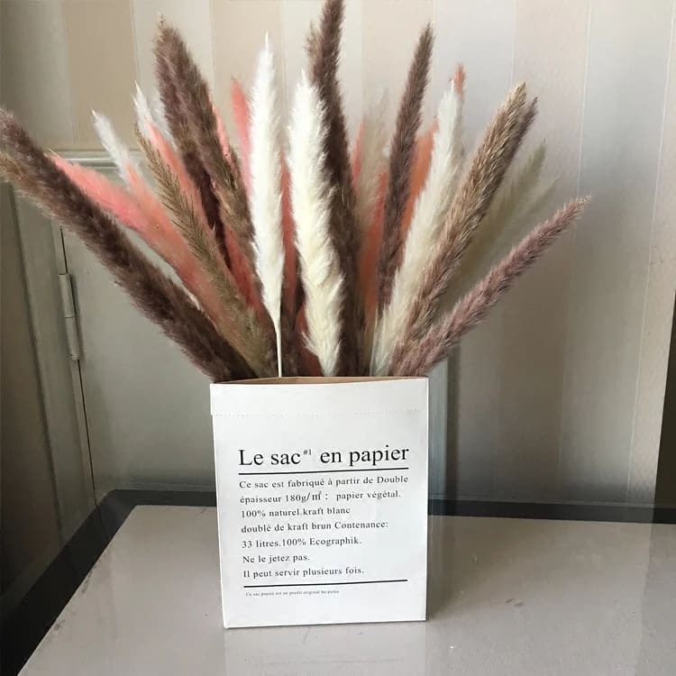 Cành cỏ lau Pampass Grass, trang trí để bàn, hoa khô decor
