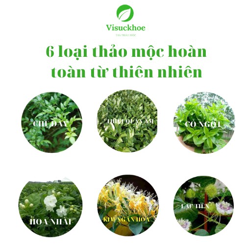 [THANH NHIỆT-GIẢI ĐỘC] Trà Hoàng Thảo Mộc- Giải độc, mát gan, hạ men gan, hỗ trợ bệnh nhân tiểu đường, cao huyết áp