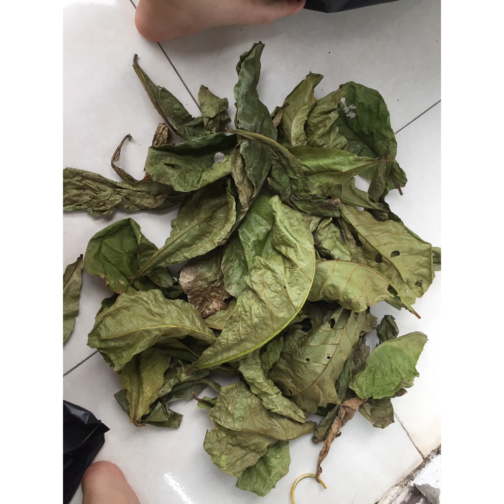 [PHƠI NẮNG TỰ NHIÊN - 100g 50 lá] 100g lá bàng khô giành cho bể cá cảnh: la hán, cá rồng, cá đĩa..