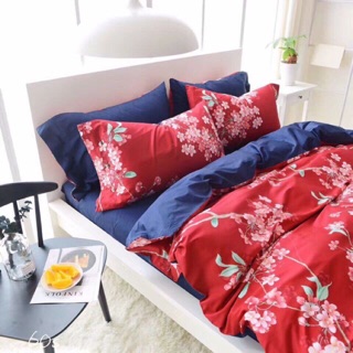 Chăn ga gối cotton lụa Ai Cập cao cấp
