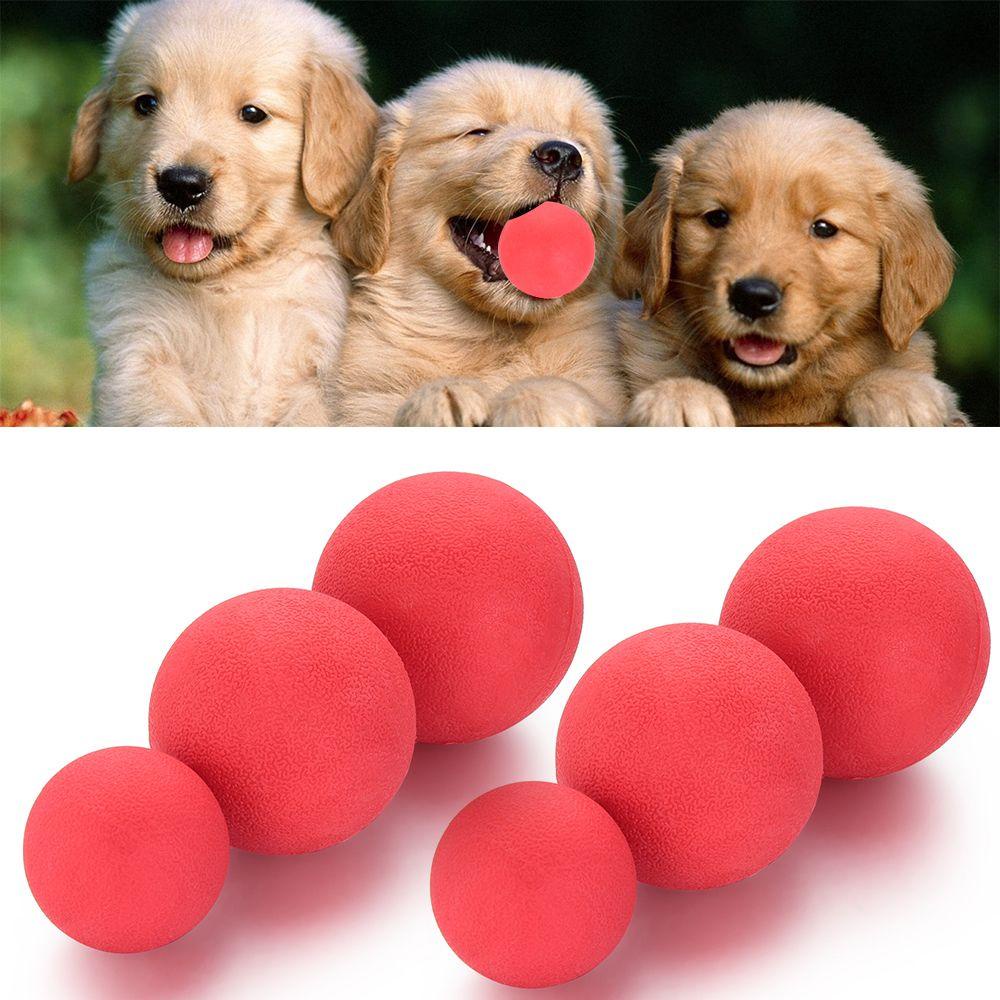 Quả Bóng Cao Su Đồ Chơi Huấn Luyện Chó Mèo