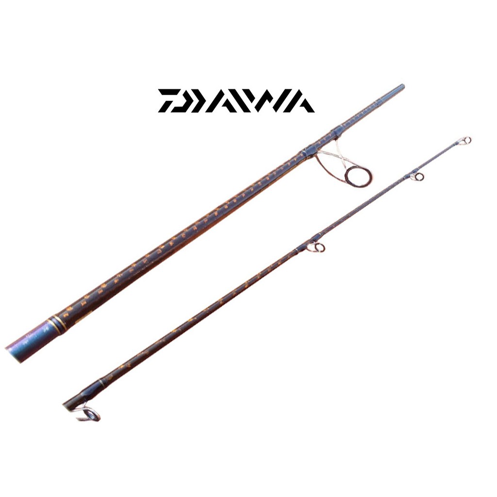 Cần Câu Cá Daiwa Catfish 1002H - 3.05 mét