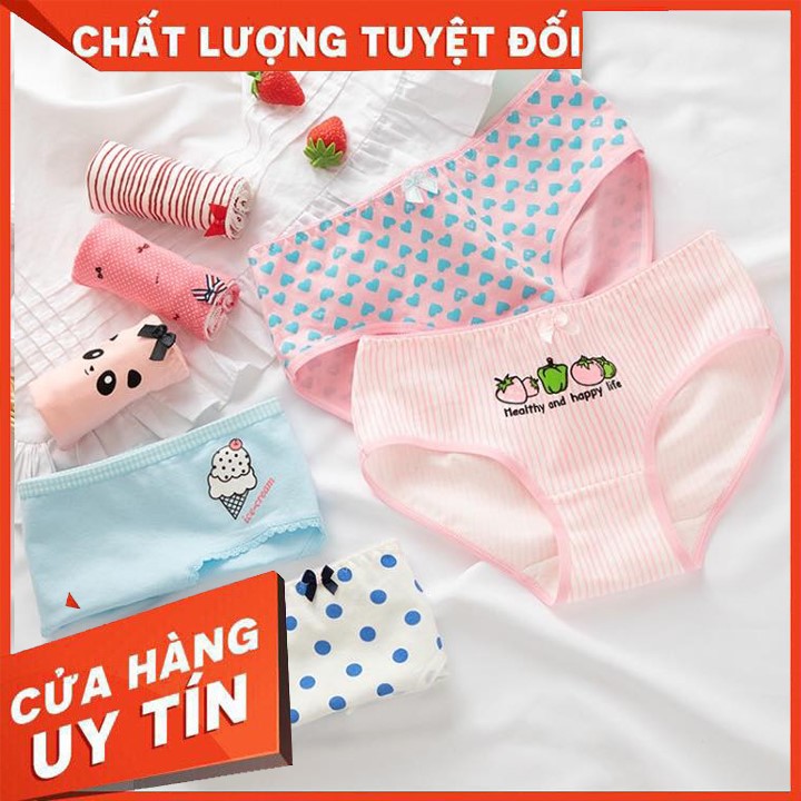 [RẺ HƠN BÁN SỈ ] [ MẪU HOT 2021 ]  Quần Lót Cotton Mịn Màng - Underwear Siêu Xinh - Tặng Kèm Túi Zip - Dễ Dàng Giặt Giũ!