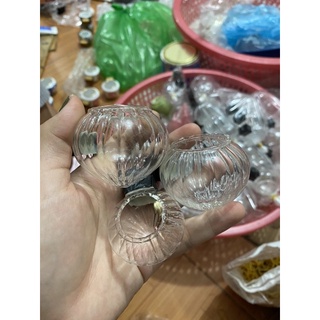 cóng mào thuỷ tinh tai mun