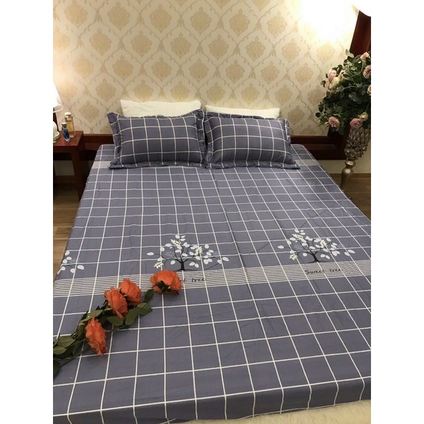 Ga giường vải Thắng Lợi 1m8x2m, ga gối cotton mát chun trơn