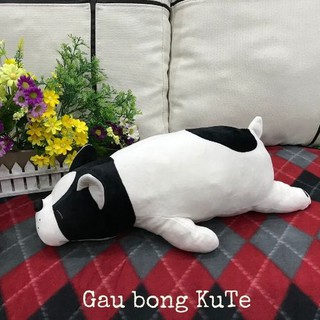 Gối ôm chó Shiba