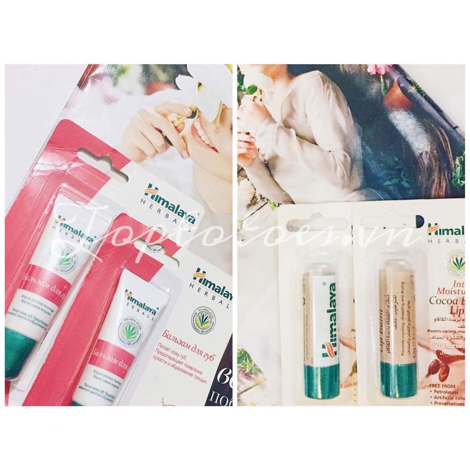 Son dưỡng Himalaya Herbals lành tính, dưỡng ẩm, làm hồng môi | BigBuy360 - bigbuy360.vn