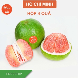 [HCM] Hộp 4 Quả Bưởi Vip Da Xanh Vườn Lão 20 Năm Tuổi - Shopeefarm