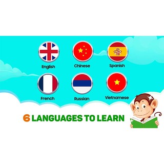 Bộ flash card với Monkey Junior 1 năm