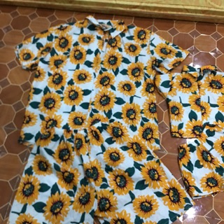 Bộ hoa quả