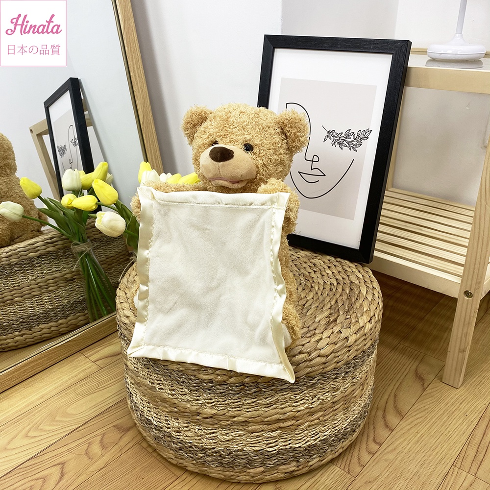 Đồ chơi gấu Peekaboo HINATA - Tiếng Anh thông minh TLEN15