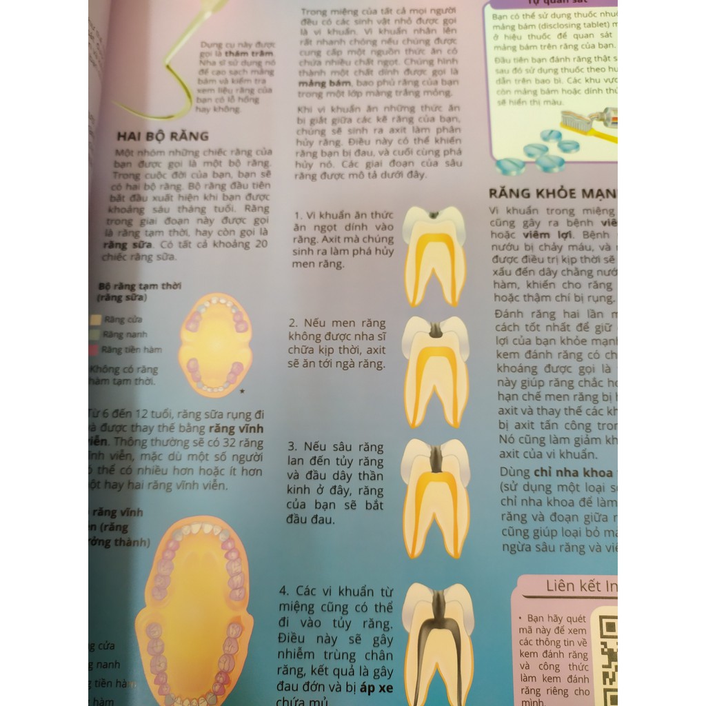 Sách - Science Encyclopedia - Bách Khoa Thư Về Khoa Học - Cơ Thể Người - 8935212348812