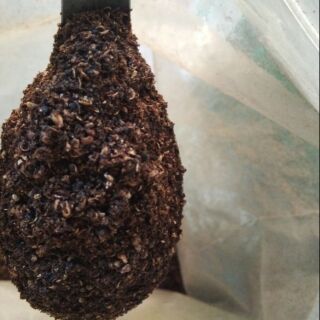 100g gia vị nướng mắc khén và dổi rang - say sẵn