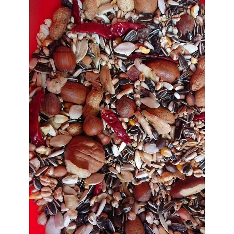 Hạt Exotic nuts cho Vẹt gói nguyên seal 750g
