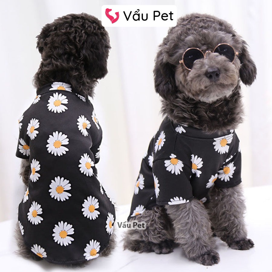 Áo cho chó mèo Thun hoa cúc - Quần áo cho chó poodle, con, lớn, mèo, thú cưng Vẩu Pet Shop