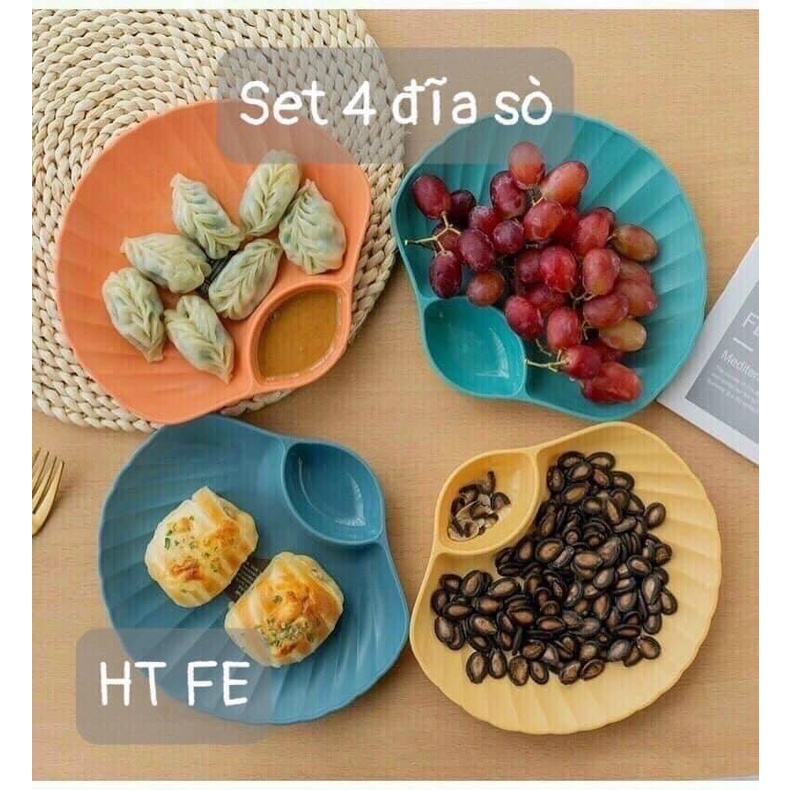 Set 4 đĩa sò,FREESHIP, 4 chiếc 4 màu siêu xinh