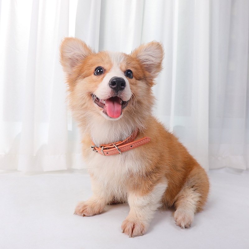 Vật Nuôi Dệt Bằng Da Pu Leather Collar Phong Cách Cho Chó Mèo Bầu Không Khí đơn Giản / Kích Thước Có Thể điều Chỉnh Nhiều Màu Sắc Tùy Chọn Phụ Kiện Cổ Vật Nuôi