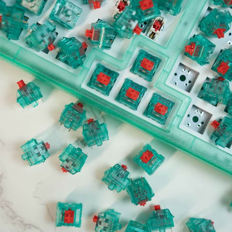 Switch bàn phím cơ Bulbasaur / Garlic King