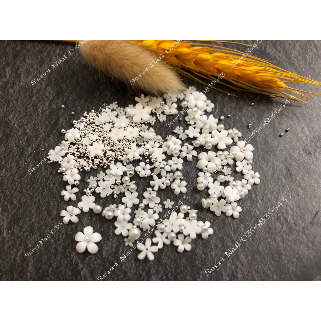 Set Hoa Nhí 5 Cánh Mix Size, Mix Màu 6 ô - Hoa Gắn Móng- TRANG TRÍ HOA