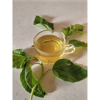 Lá dâu tằm tươi ThúyHome - Chuẩn organic - Uống sáng da, bay nám, mát gan 300g