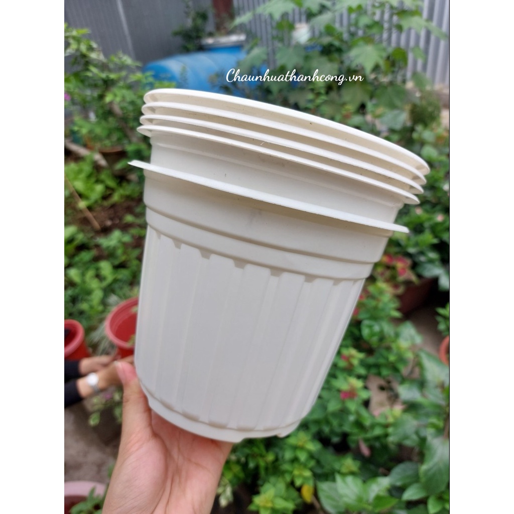 Combo 10 Chậu nhựa 18x14,6cm trồng sen đá, dâu tây, cây giống, thoát nước tốt