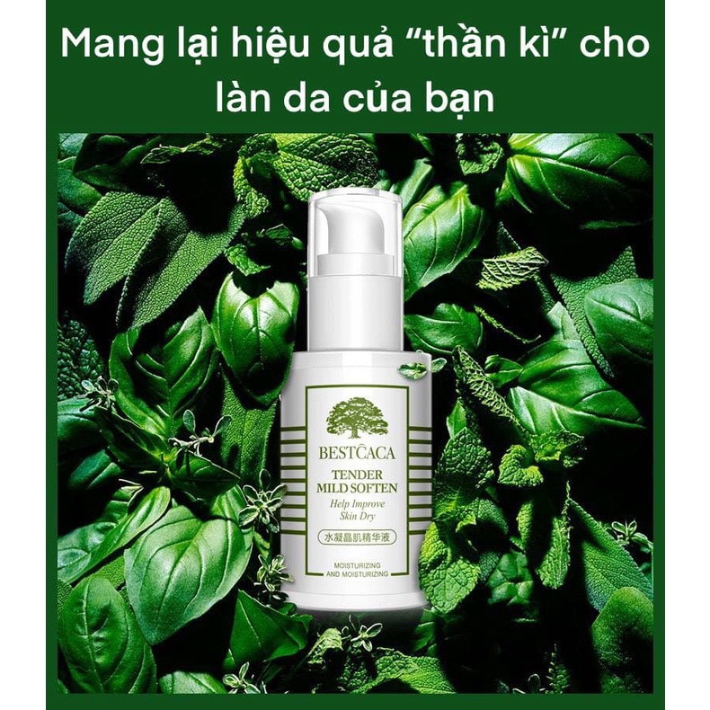 Tinh Chất Rong Biển Cấp Ẩm Phục Hồi da cao cấp cho da, đem lại làn da căng mướt và mịn màng LALA