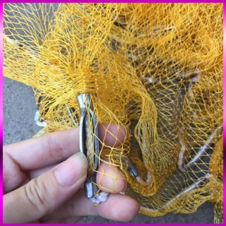 🐠 Chài dù tép bắt cá 🐠  chài tép bung 4m 🐠