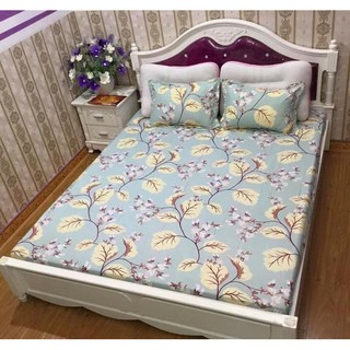 Bộ ga gối cotton poly chun m8
