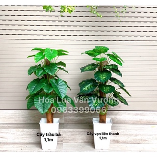 Cây giả 🌺 cây trầu bà leo cột cao 1,1m