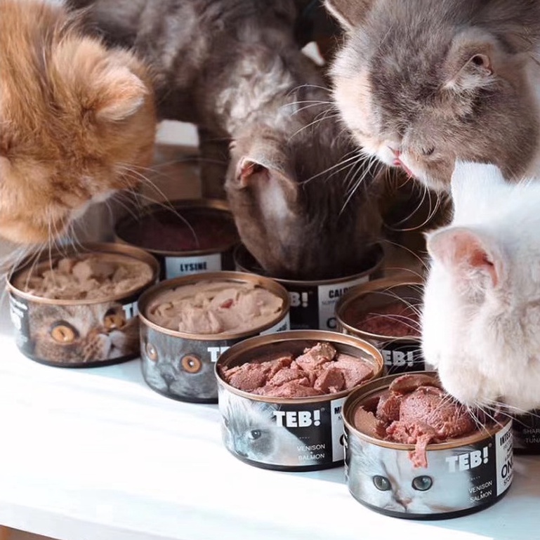 Pate Teb! Only Cao Cấp Cho Mèo 170g