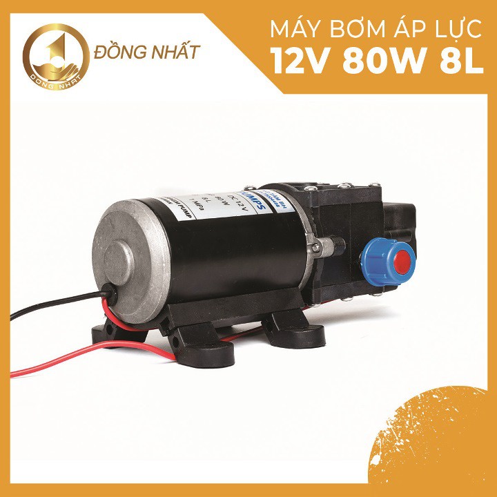 Bơm nước mini áp lực 12V 80W