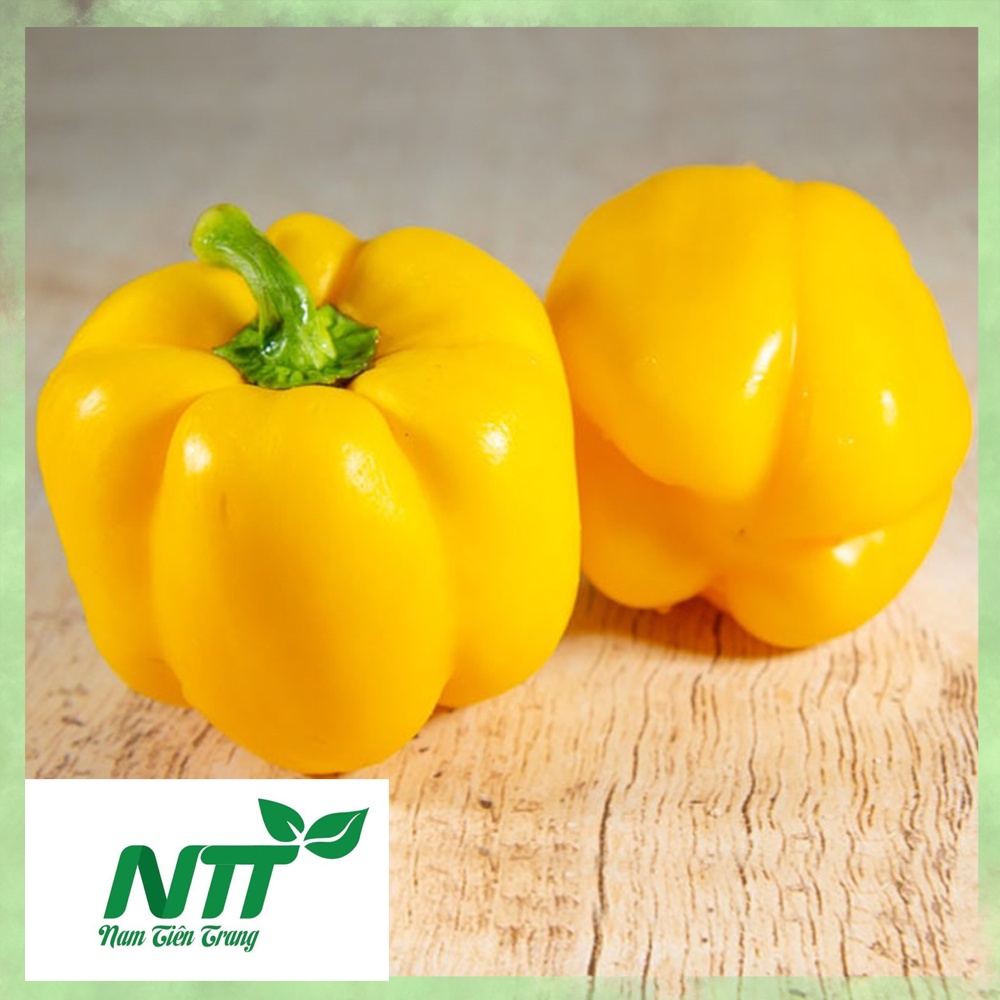 Hạt giống Ớt Chuông Vàng TN