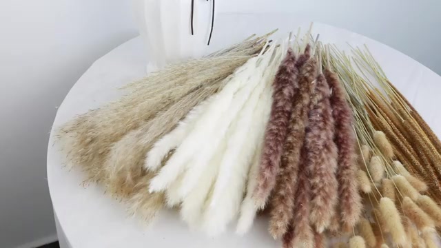 Hoa Khô Tự Nhiên Vintage Decor Trang Trí- Cỏ đuôi thỏ, Bông lau, lúa mạch, bông gòn | BigBuy360 - bigbuy360.vn