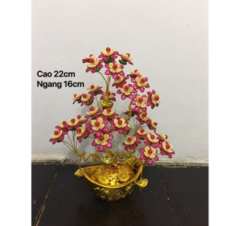 Cây đồng tiền gắn hoa cao 28cm