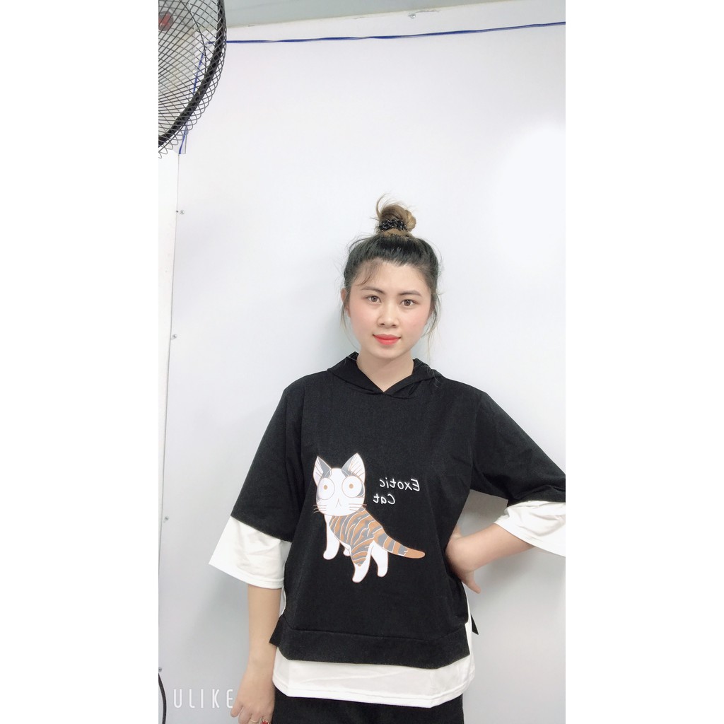 Áo Hoodie In Họa Tiết Mèo Phong Cách Hàn Quốc Đầy Trẻ Trung Năng Động Dành Cho Cả Nam Và Nữ M2 | BigBuy360 - bigbuy360.vn